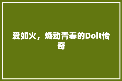 爱如火，燃动青春的Doit传奇 搜狗SEO