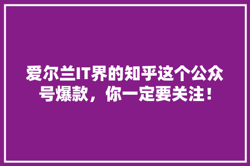 爱尔兰IT界的知乎这个公众号爆款，你一定要关注！ 百度SEO
