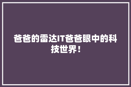 爸爸的雷达IT爸爸眼中的科技世界！ 百度SEO