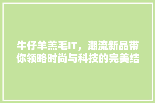 牛仔羊羔毛IT，潮流新品带你领略时尚与科技的完美结合！ 搜狗SEO