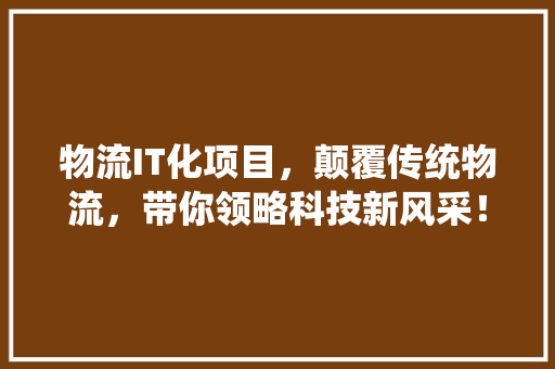 物流IT化项目，颠覆传统物流，带你领略科技新风采！ SEO关键词