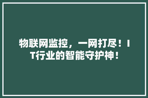物联网监控，一网打尽！IT行业的智能守护神！ 百度SEO