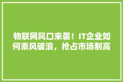 物联网风口来袭！IT企业如何乘风破浪，抢占市场制高点 神马SEO