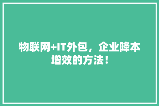 物联网+IT外包，企业降本增效的方法！ 网站建设公司