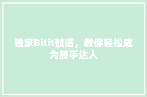 独家Bitit鼓谱，教你轻松成为鼓手达人 必应SEO