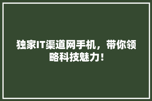 独家IT渠道网手机，带你领略科技魅力！ 必应SEO