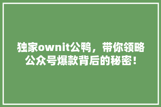 独家ownit公鸭，带你领略公众号爆款背后的秘密！ 搜狗SEO