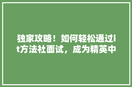 独家攻略！如何轻松通过it方法社面试，成为精英中的一员 搜狗SEO
