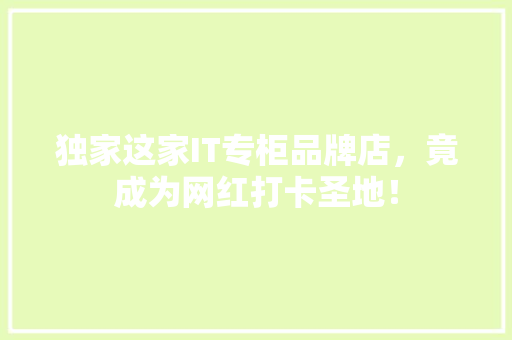 独家这家IT专柜品牌店，竟成为网红打卡圣地！ 百度SEO