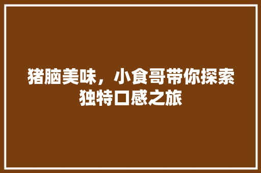 猪脑美味，小食哥带你探索独特口感之旅 SEO关键词