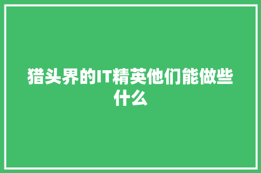 猎头界的IT精英他们能做些什么 必应SEO