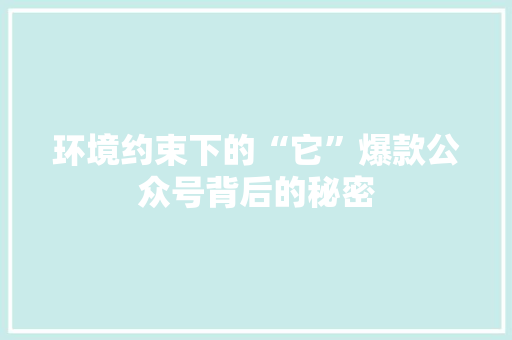 环境约束下的“它”爆款公众号背后的秘密 SEO关键词