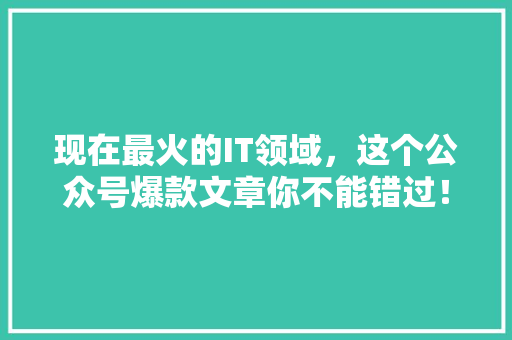 现在最火的IT领域，这个公众号爆款文章你不能错过！ SEO关键词