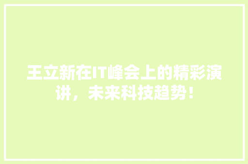 王立新在IT峰会上的精彩演讲，未来科技趋势！ 必应SEO