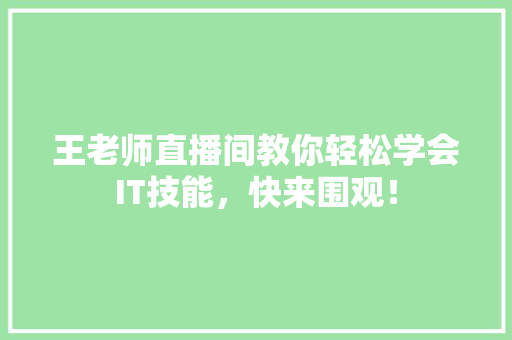 王老师直播间教你轻松学会IT技能，快来围观！ SEO关键词