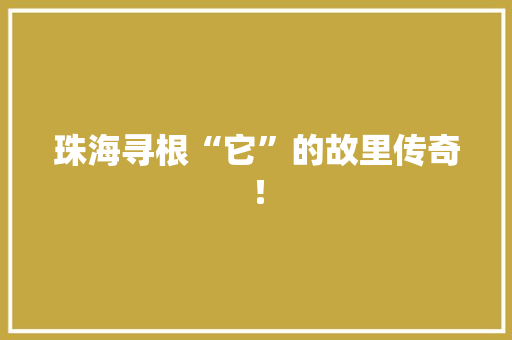 珠海寻根“它”的故里传奇！ 百度SEO