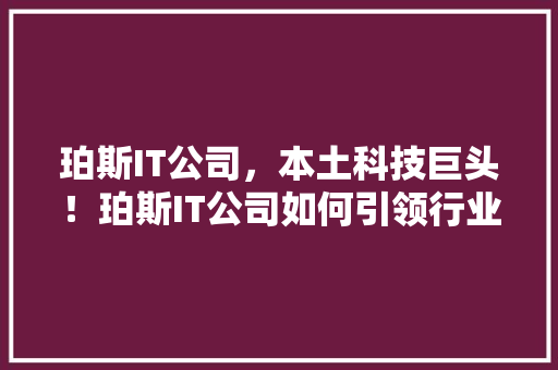 珀斯IT公司，本土科技巨头！珀斯IT公司如何引领行业潮流！ 百度SEO