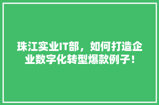 珠江实业IT部，如何打造企业数字化转型爆款例子！ 搜狗SEO