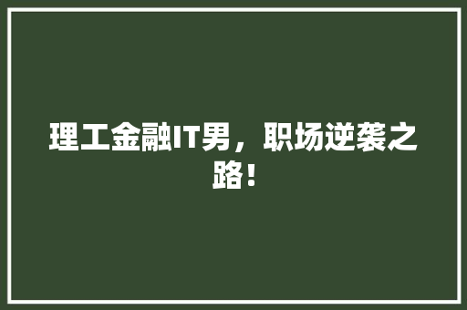 理工金融IT男，职场逆袭之路！ 神马SEO