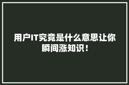 用户IT究竟是什么意思让你瞬间涨知识！ 搜狗SEO