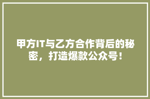 甲方IT与乙方合作背后的秘密，打造爆款公众号！ 网站建设公司