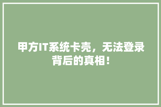 甲方IT系统卡壳，无法登录背后的真相！ 必应SEO