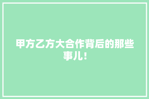 甲方乙方大合作背后的那些事儿！ 必应SEO