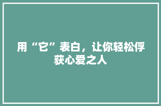 用“它”表白，让你轻松俘获心爱之人 百度SEO