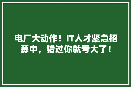 电厂大动作！IT人才紧急招募中，错过你就亏大了！ 必应SEO