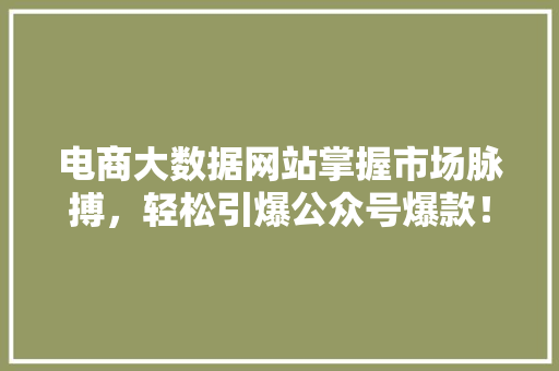 电商大数据网站掌握市场脉搏，轻松引爆公众号爆款！ 神马SEO