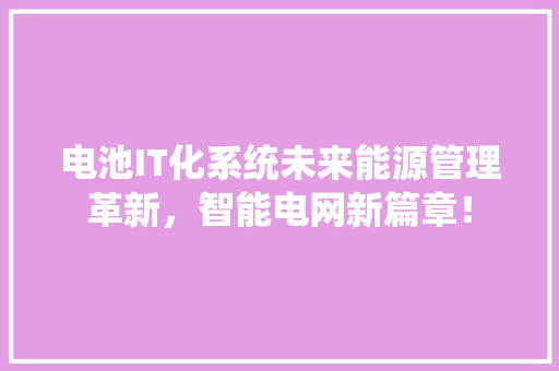 电池IT化系统未来能源管理革新，智能电网新篇章！ 神马SEO