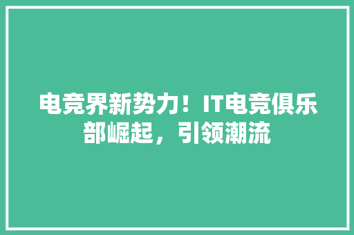 电竞界新势力！IT电竞俱乐部崛起，引领潮流 必应SEO