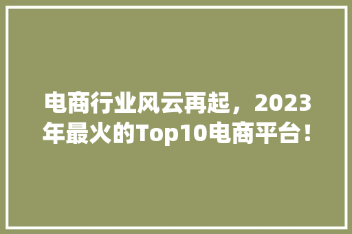电商行业风云再起，2023年最火的Top10电商平台！ SEO关键词