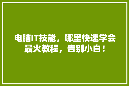 电脑IT技能，哪里快速学会最火教程，告别小白！ 网站建设公司