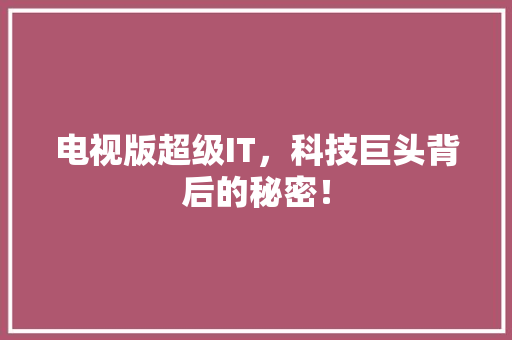 电视版超级IT，科技巨头背后的秘密！ 搜狗SEO