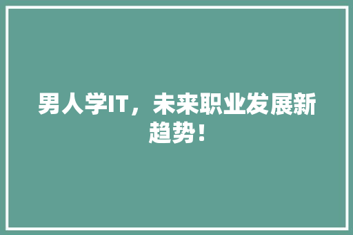 男人学IT，未来职业发展新趋势！ 百度SEO