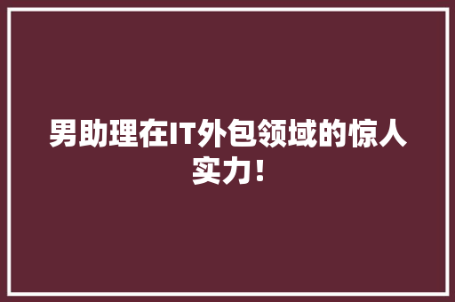 男助理在IT外包领域的惊人实力！ 神马SEO