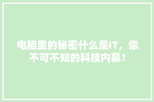 电脑里的秘密什么是IT，你不可不知的科技内幕！ 必应SEO