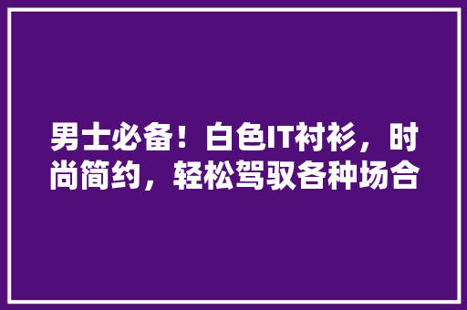 男士必备！白色IT衬衫，时尚简约，轻松驾驭各种场合 百度SEO