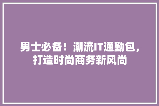 男士必备！潮流IT通勤包，打造时尚商务新风尚 神马SEO