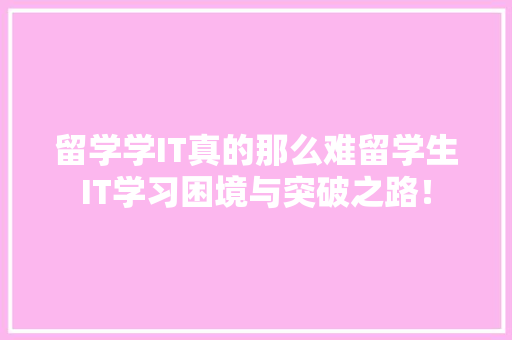 留学学IT真的那么难留学生IT学习困境与突破之路！ 神马SEO