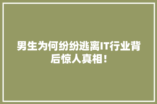 男生为何纷纷逃离IT行业背后惊人真相！ 神马SEO