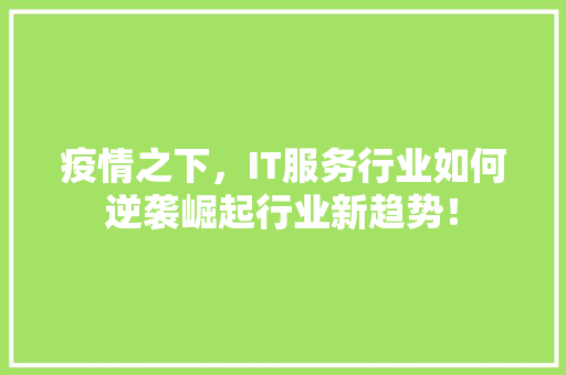疫情之下，IT服务行业如何逆袭崛起行业新趋势！ 神马SEO