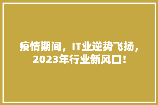 疫情期间，IT业逆势飞扬，2023年行业新风口！ 搜狗SEO