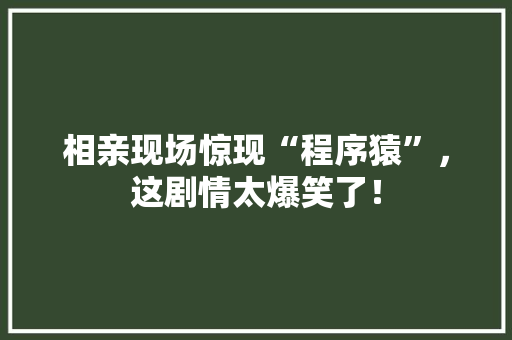 相亲现场惊现“程序猿”，这剧情太爆笑了！
