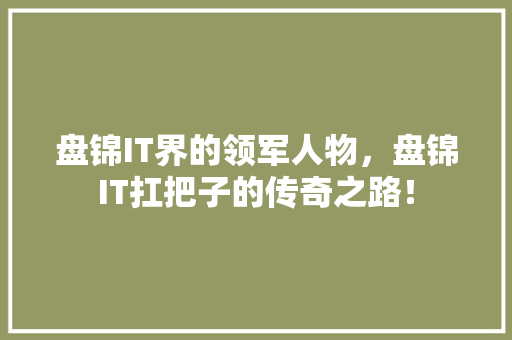 盘锦IT界的领军人物，盘锦IT扛把子的传奇之路！ 网站建设公司