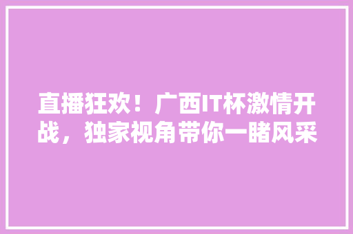 直播狂欢！广西IT杯激情开战，独家视角带你一睹风采！ 网站建设公司