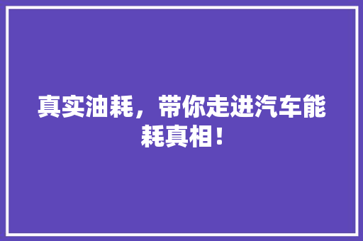 真实油耗，带你走进汽车能耗真相！ 网站建设公司