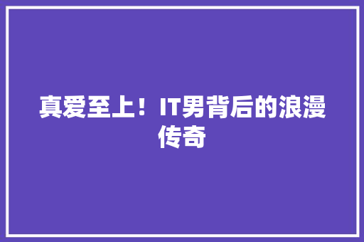 真爱至上！IT男背后的浪漫传奇 网站建设公司