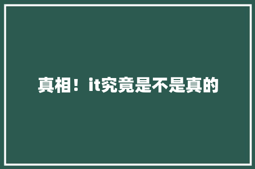 真相！it究竟是不是真的 网站建设公司